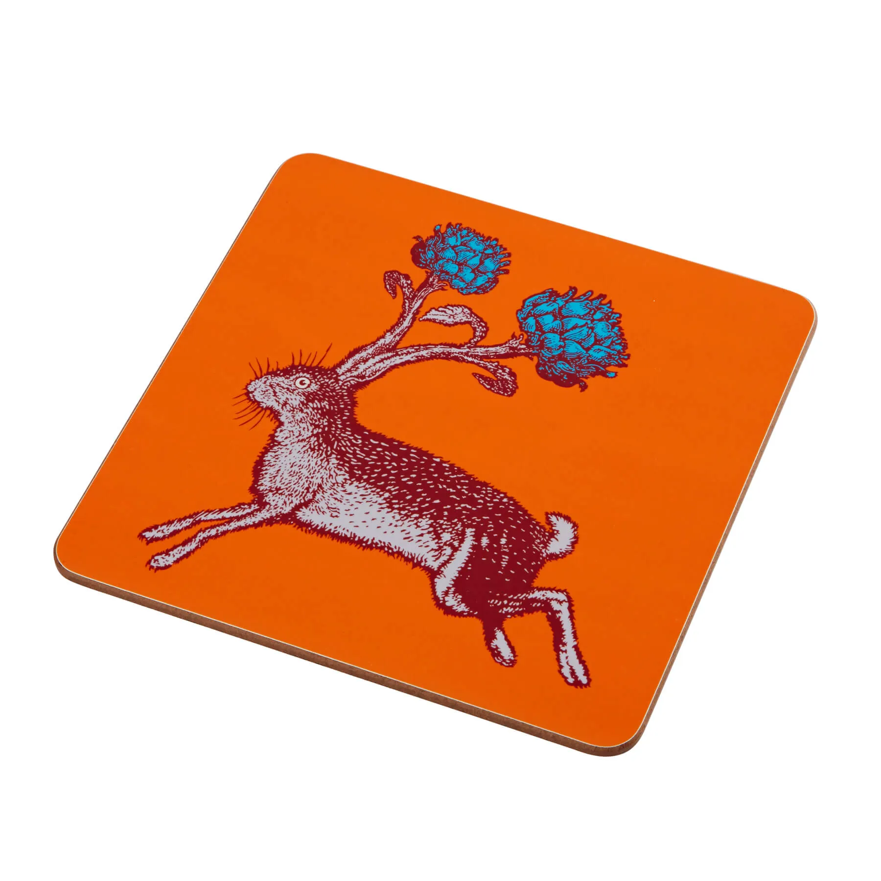 Animal Placemats and Coasters